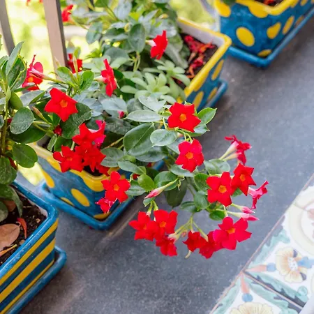 Round House * 索伦托