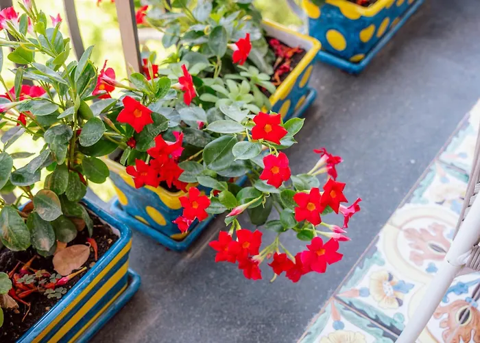 Round House * Σορέντο